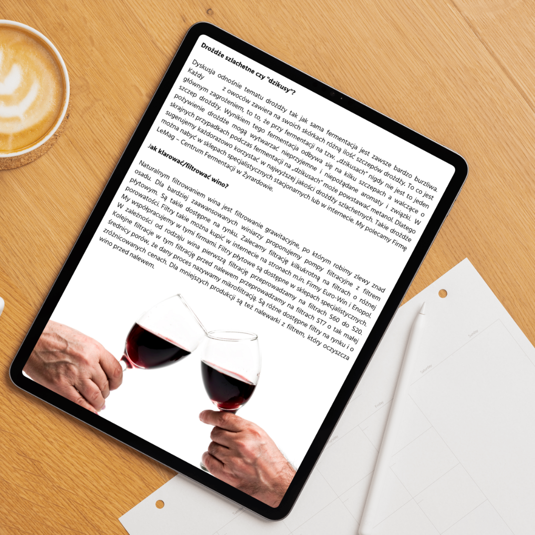 Jak zrobić wino w domu? Kompletny poradnik krok po kroku 🍷